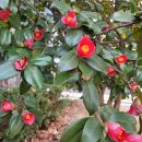 문화공간봄 이미지