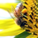 정인당한의원 이미지