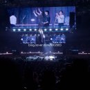 Mr.깡당구클럽 | 250516 데이식스 «FOREVER YOUNG FINALE» 막첫콘 콘서트 후기