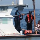 동해-단속-50 이미지