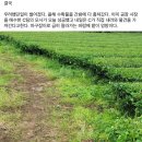 일건농장 네이버블로그
