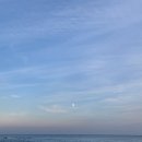 바베네