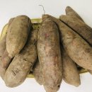 합심농장 이미지