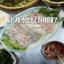 [모란/수진] 요기초장집어때?, 막회+오징어회 가성비 횟집 솔직 후기