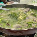 아울축산 이미지