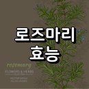 로즈마리상사 이미지