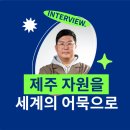 와이제이컴퍼니 네이버블로그
