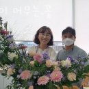 시선이 머무는, 꽃 네이버블로그