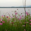 낙동강변7 이미지