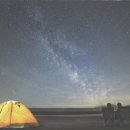 프로토케라톱스 이미지