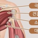 비무브짐24 병영점 이미지