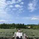 녹원한우목장 | [강원도 고성/강릉] 여름 휴가 근데 바다만 원 없이 보고 온,, ♥