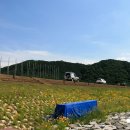 춘천 송암스포츠타운 X-게임장 이미지