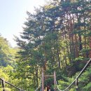 신선계곡 이미지