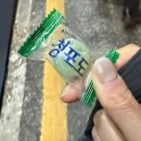 경주식당 | 홍대 고기집 추천｜냄새 걱정 없는 구워 나오는 고기, 경주식당 솔직 후기