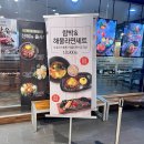 고속터미널 뉴코아 후쿠오카 함바그 혼밥후기
