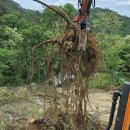 변동중로45번길 | [충남] 대전포크레인 공주포크레인 논산포크레인 비닐하우스설치 조경수 잔디 골재 , 서부건설기계조합