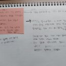 셀타민 이미지