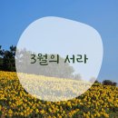 뱃살 탈출 밸리댄스 | 26년 3월 : 24시간이 모자라