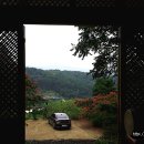 일광사 이미지