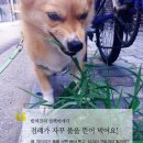 놀자 뉴스1