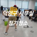 365정기청소덕양