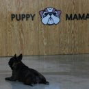 헤라호텔 이미지