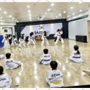풍진(태권도) 이미지