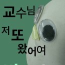 수정어름집 | 미룬이