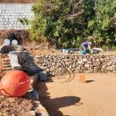 거제남서로 | 부산근교 드라이브 매미성 거제식물원 겨울 나들이 후기