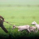 인복농장 이미지