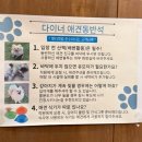 pet154로8498 | [인천 송도/ 다이너] 애견동반식당 추천/ 송도 분위기 좋은 양식집 추천