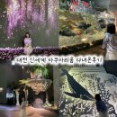 대전신세계아디다스키즈 | 대전 신세계 아쿠아리움 할인 가격 체험 솔직후기 아기랑 실내갈만한곳