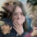 미사에스터치브로우&속눈썹펌 네이버블로그