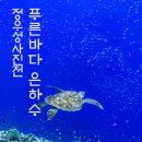 푸른바다에달
