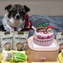트리덴탈 | [강아지 생일파티 돌상 상차림 후기]하나하나 직접 준비한 꾸꾸꾸 돌상