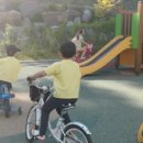 세진유치원 이미지