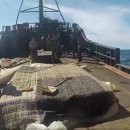 동해-단속-27 이미지