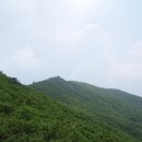 사평분교 Daum카페