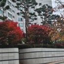 대주피오레(아) 2단지 이미지