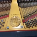 라온음악학원 이미지