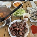 [여행일기] 당일치기 캠프닉 다녀왔어요!! 🏕️서울 근교 온수풀 캠핑장, 내돈내산 ”양주 잼잼“방문 후기