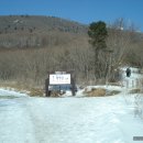 선수촌삼거리 이미지