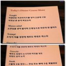 갈리나데이지
