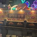 청계천 | 🎏 청계천 잉어킹 후기｜메타몽·황금잉어킹 찾는 재미까지 있는 연말 산책 코스