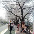 안동강변체육공원 축구장 이미지