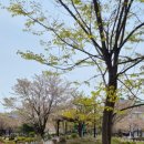 연꽃어린이집 이미지