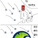 진달래패션 이미지