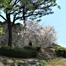 갈현초등학교 이미지