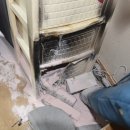 선화담배
